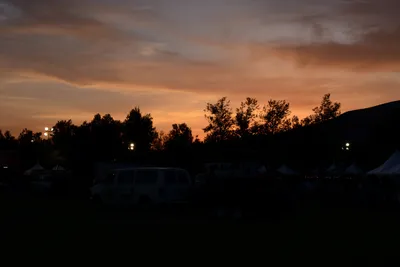 DSC_2366 (Large).JPG